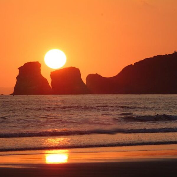 Michèle Ihidope - Permanences